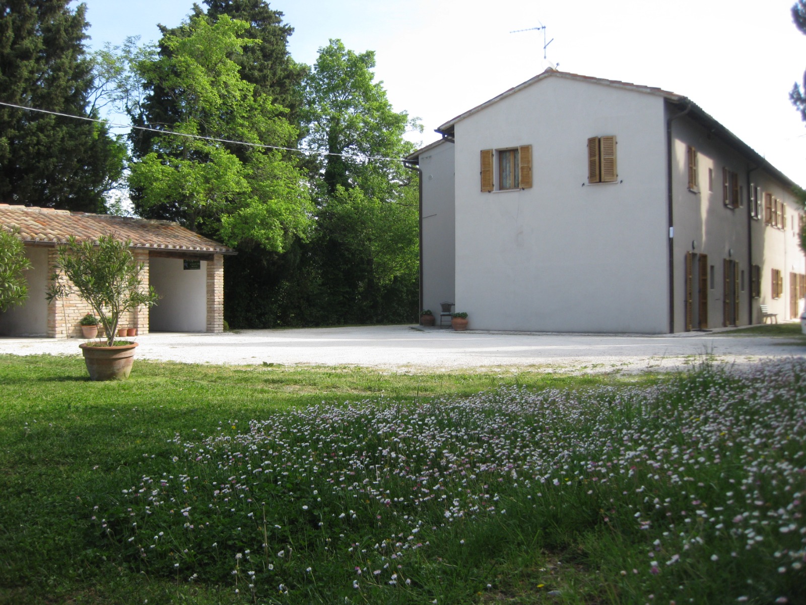 Area verde panoramica